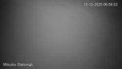 Vlek Mikulov, Slalomový svah