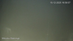 Vlek Mikulov, Slalomový svah