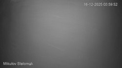 Vlek Mikulov, Slalomový svah