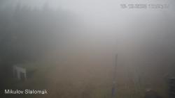 Vlek Mikulov, Slalomový svah