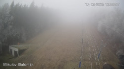 Vlek Mikulov, Slalomový svah