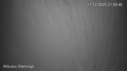 Vlek Mikulov, Slalomový svah