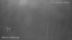 Vlek Mikulov, Slalomový svah