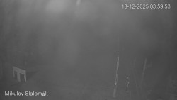 Vlek Mikulov, Slalomový svah