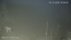 Vlek Mikulov, Slalomový svah