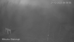 Vlek Mikulov, Slalomový svah