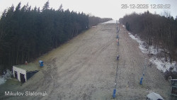 Vlek Mikulov, Slalomový svah