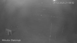 Vlek Mikulov, Slalomový svah