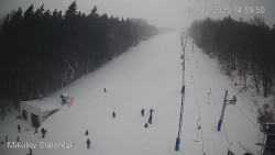 Vlek Mikulov, Slalomový svah