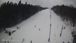 Vlek Mikulov, Slalomový svah