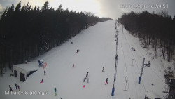 Vlek Mikulov, Slalomový svah