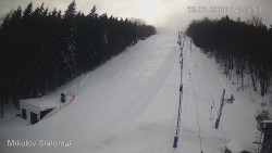 Vlek Mikulov, Slalomový svah