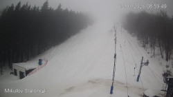 Vlek Mikulov, Slalomový svah