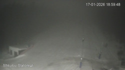 Vlek Mikulov, Slalomový svah