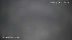 Vlek Mikulov, Slalomový svah