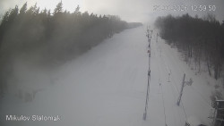 Vlek Mikulov, Slalomový svah