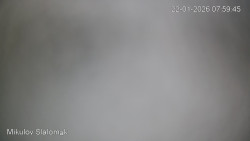 Vlek Mikulov, Slalomový svah