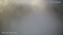 Vlek Mikulov, Slalomový svah