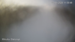 Vlek Mikulov, Slalomový svah