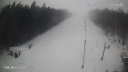 Vlek Mikulov, Slalomový svah