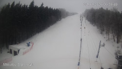 Vlek Mikulov, Slalomový svah