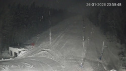 Vlek Mikulov, Slalomový svah