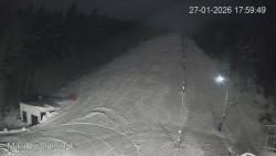 Vlek Mikulov, Slalomový svah