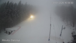 Vlek Mikulov, Slalomový svah