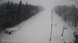 Vlek Mikulov, Slalomový svah