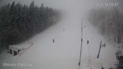 Vlek Mikulov, Slalomový svah