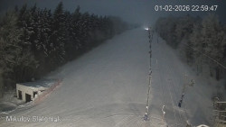 Vlek Mikulov, Slalomový svah