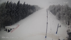 Vlek Mikulov, Slalomový svah