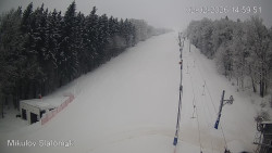 Vlek Mikulov, Slalomový svah