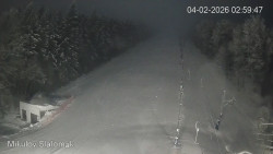 Vlek Mikulov, Slalomový svah