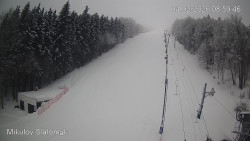 Vlek Mikulov, Slalomový svah