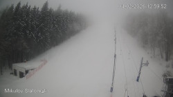 Vlek Mikulov, Slalomový svah