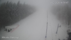 Vlek Mikulov, Slalomový svah