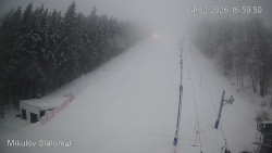 Vlek Mikulov, Slalomový svah