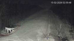 Vlek Mikulov, Slalomový svah