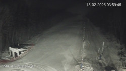 Vlek Mikulov, Slalomový svah