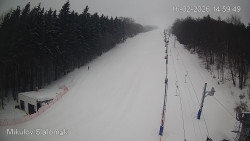 Vlek Mikulov, Slalomový svah