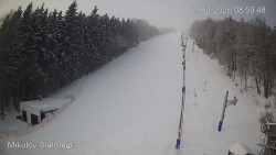 Vlek Mikulov, Slalomový svah