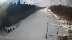 Vlek Mikulov, Slalomový svah