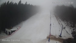 Vlek Mikulov, Slalomový svah