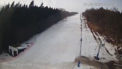 Vlek Mikulov, Slalomový svah