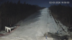 Vlek Mikulov, Slalomový svah