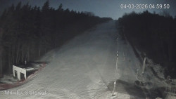 Vlek Mikulov, Slalomový svah