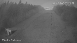 Vlek Mikulov, Slalomový svah