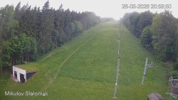 Vlek Mikulov, Slalomový svah