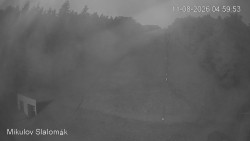 Vlek Mikulov, Slalomový svah
